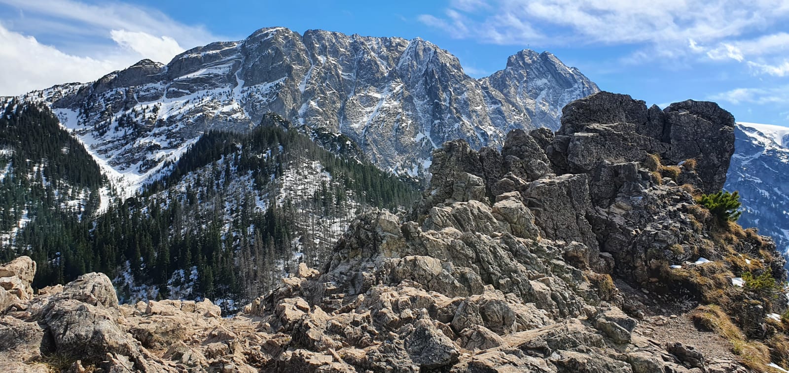 Tatry Zachodnie, Sarnia Skała 1377 m n.p.m. z dziećmi